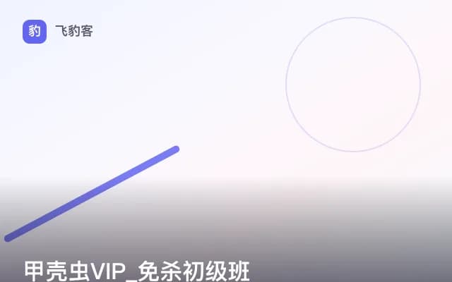 甲壳虫VIP_免杀初级班