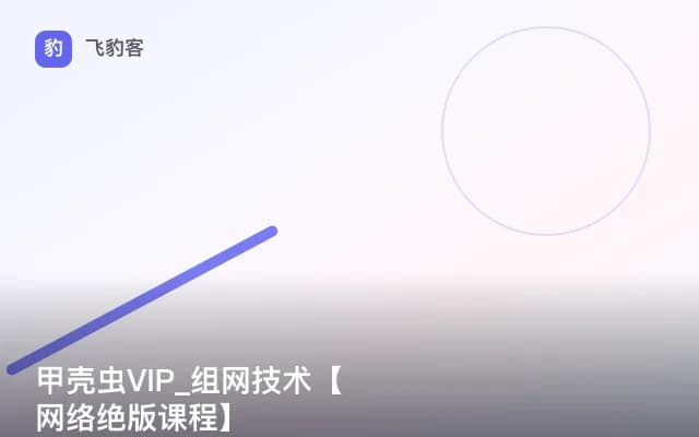 甲壳虫VIP_组网技术【网络绝版课程】