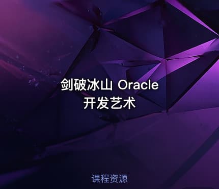 剑破冰山 Oracle开发艺术
