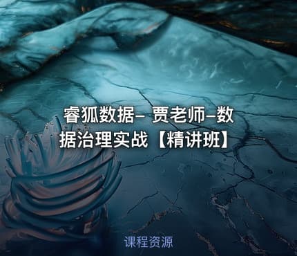 睿狐数据- 贾老师-数据治理实战【精讲班】