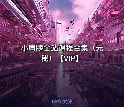 小肩膀全站课程合集（无秘）【VIP】