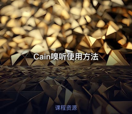 Cain嗅听使用方法