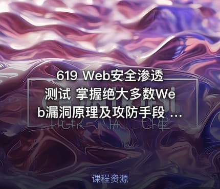 619 Web安全渗透测试 掌握绝大多数Web漏洞原理及攻防手段 价值718
