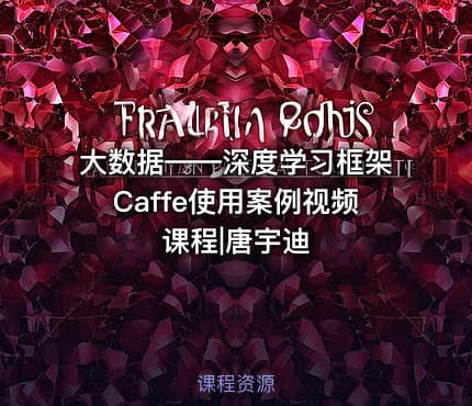 大数据——深度学习框架Caffe使用案例视频课程|唐宇迪