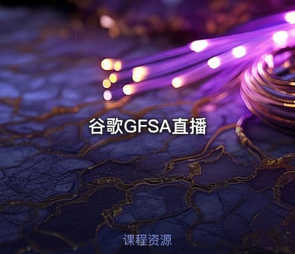 谷歌GFSA直播