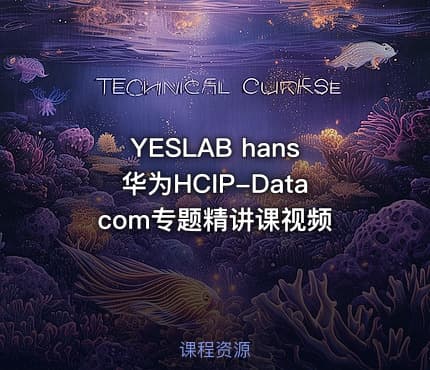 YESLAB hans华为HCIP-Datacom专题精讲课视频