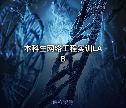 本科生网络工程实训LAB