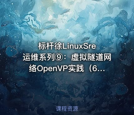 标杆徐LinuxSre运维系列⑨：虚拟隧道网络OpenVP实践（6讲）