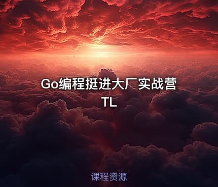 Go编程挺进大厂实战营 TL