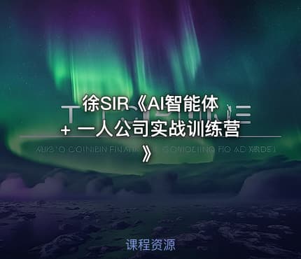 徐SIR《AI智能体 + 一人公司实战训练营》
