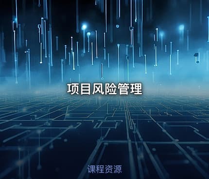 项目风险管理