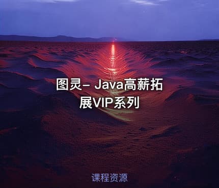 图灵- Java高薪拓展VIP系列