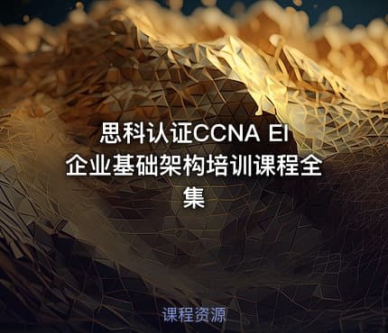 思科认证CCNA EI企业基础架构培训课程全集