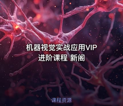 机器视觉实战应用VIP进阶课程 新阁