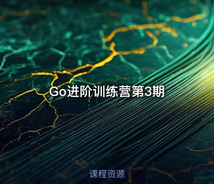 Go进阶训练营第3期