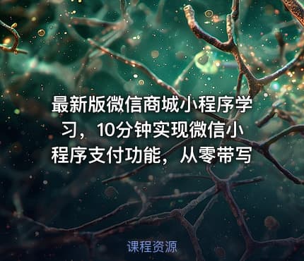 最新版微信商城小程序学习，10分钟实现微信小程序支付功能，从零带写