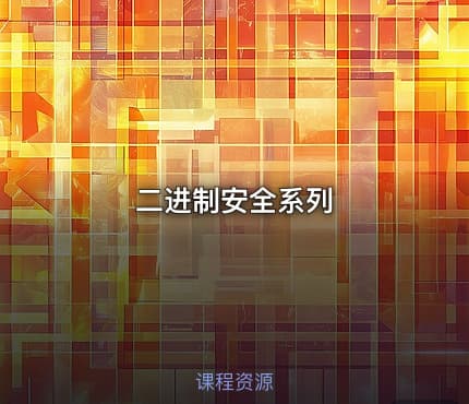 二进制安全系列