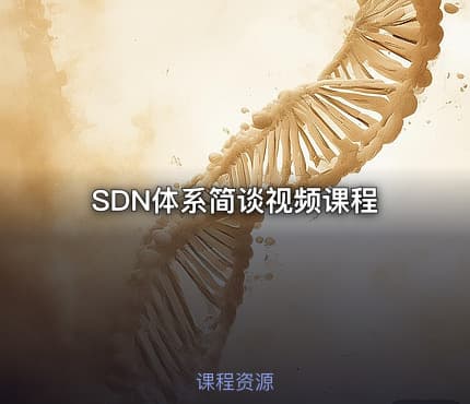 SDN体系简谈视频课程