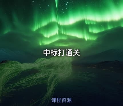 中标打通关