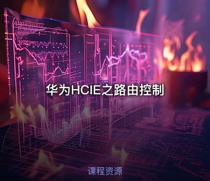 华为HCIE之路由控制
