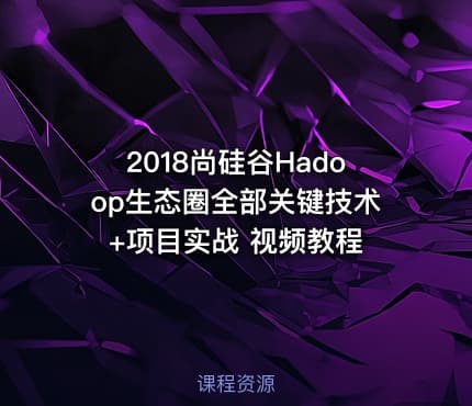 2018尚硅谷Hadoop生态圈全部关键技术+项目实战 视频教程