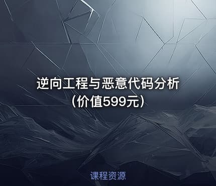 逆向工程与恶意代码分析（）