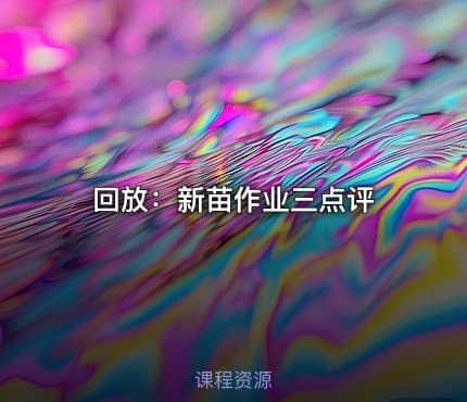 回放：新苗作业三点评