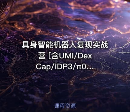 具身智能机器人复现实战营 [含UMI/DexCap/iDP3/π0]