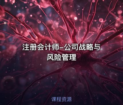 注册会计师-公司战略与风险管理