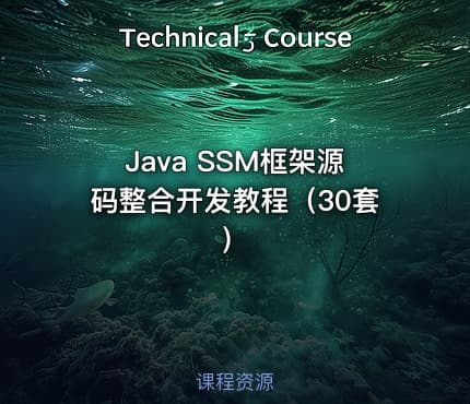 Java SSM框架源码整合开发教程（30套）