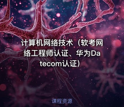 计算机网络技术（软考网络工程师认证、华为Datecom认证）