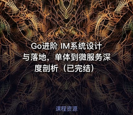 Go进阶 IM系统设计与落地，单体到微服务深度剖析（已完结）