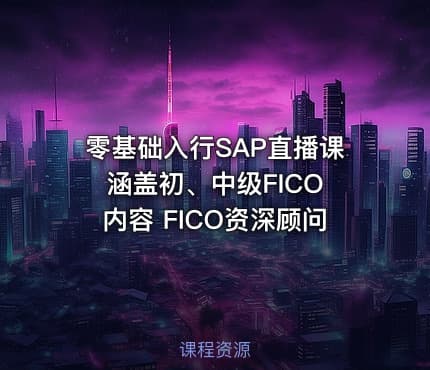 零基础入行SAP直播课 涵盖初、中级FICO内容 FICO资深顾问