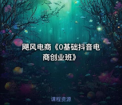 飓风电商《0基础抖音电商创业班》