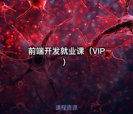 前端开发就业课（VIP）