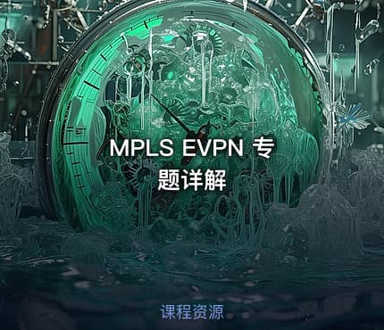 MPLS EVPN 专题详解