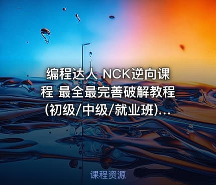 编程达人 NCK逆向课程 最全最完善破解教程(初级/中级/就业班) 滴水逆向