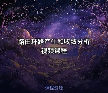 路由环路产生和收敛分析视频课程