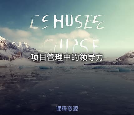 项目管理中的领导力