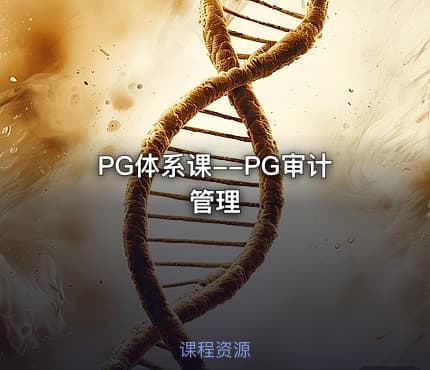 PG体系课--PG审计管理