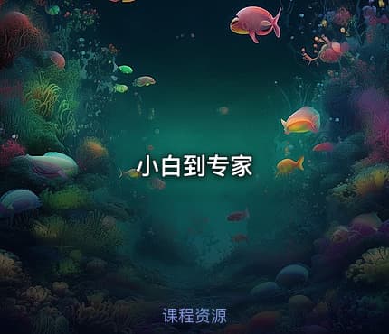 小白到专家