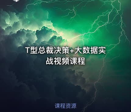 T型总裁决策+大数据实战视频课程