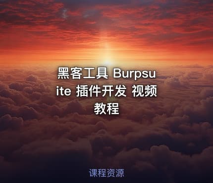 黑客工具 Burpsuite 插件开发 视频教程