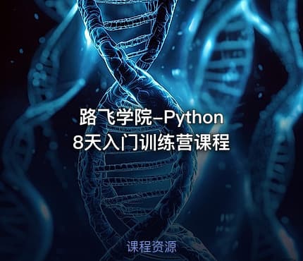 路飞学院-Python 8天入门训练营课程