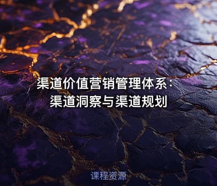 渠道价值营销管理体系：渠道洞察与渠道规划