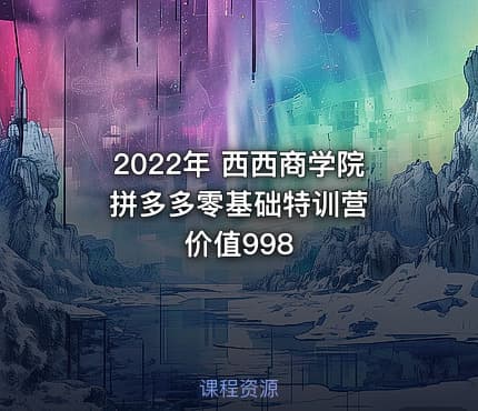 2022年 西西商学院 拼多多零基础特训营 价值998