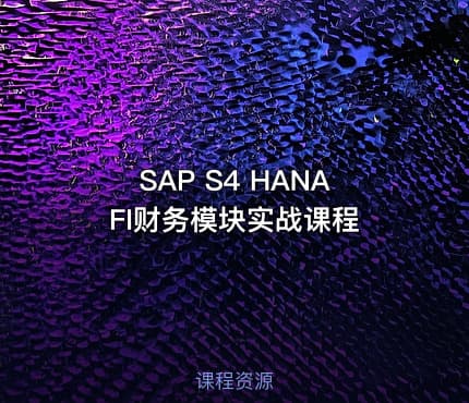 SAP S4 HANA FI财务模块实战课程
