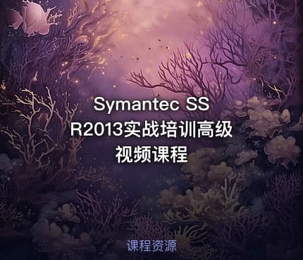 Symantec SSR2013实战培训高级视频课程