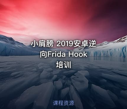 小肩膀 2019安卓逆向Frida Hook培训