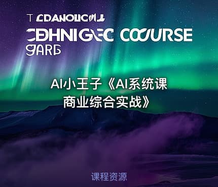 Al小王子《AI系统课商业综合实战》